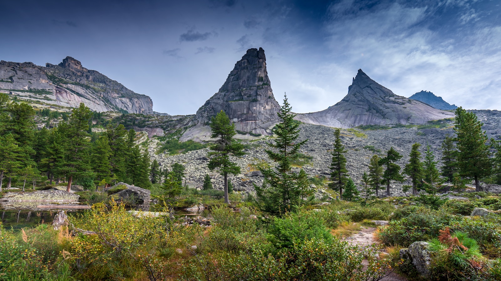 A mountain range with trees and bushes in the foreground